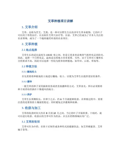 艾草种植项目讲解