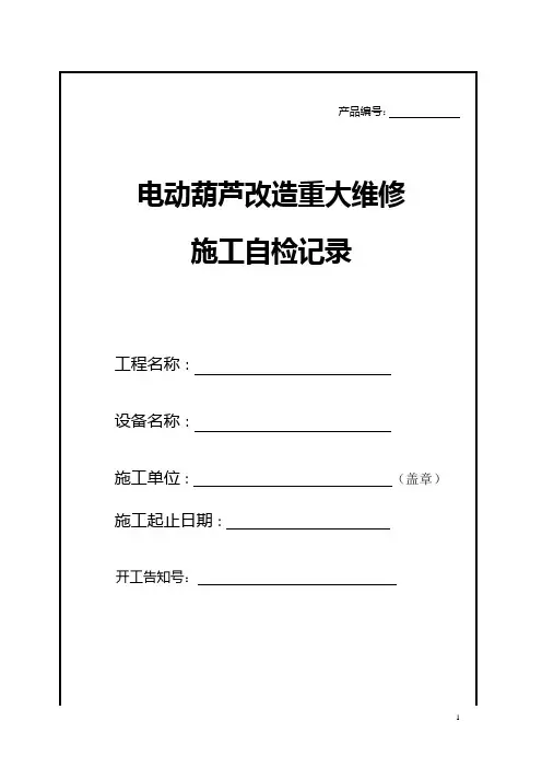 电动葫芦自检报告.doc2012