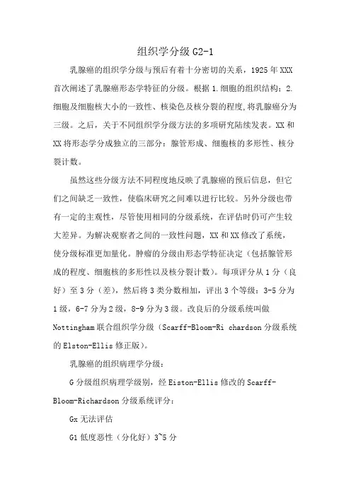 组织学分级G2-1