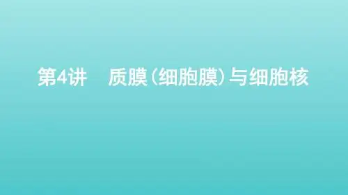 山东省高考生物复习第2单元细胞的基本结构和物质的运输第4讲质膜细胞膜与细胞核课件