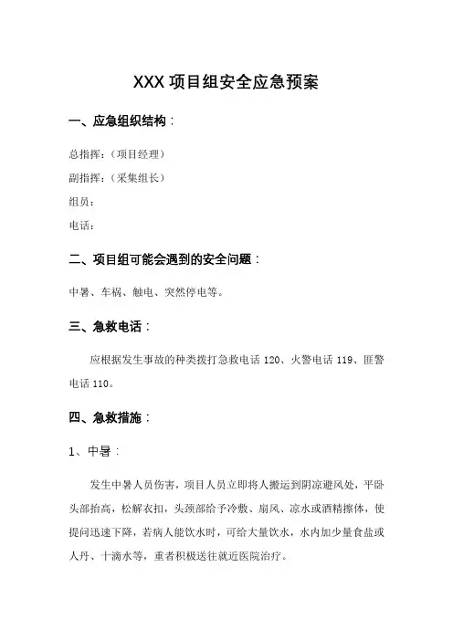 智慧城管安全应急预案