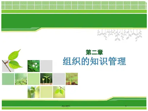 组织的知识管理最终版.ppt