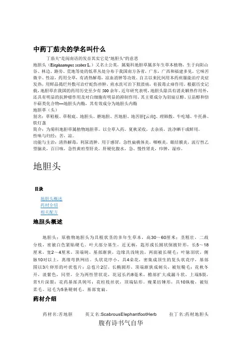 中草药丁茄夫(图文)