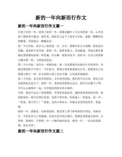 新的一年向新而行作文