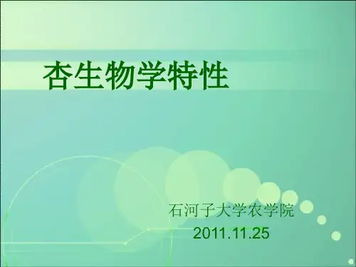 杏生物学特性及新疆品种