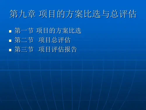 第九章 项目的方案比选与总评估