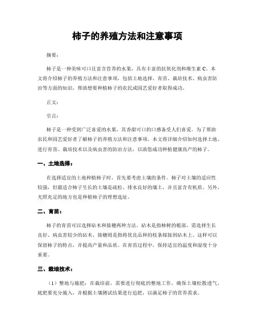 柿子的养殖方法和注意事项