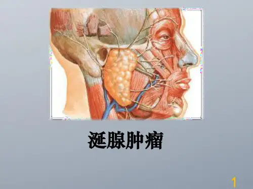 涎腺肿瘤解析