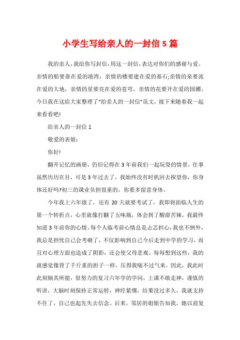 小学生写给亲人的一封信5篇
