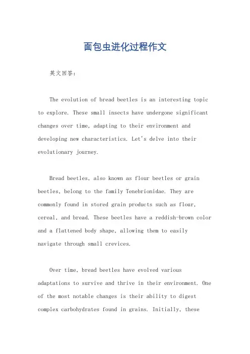 面包虫进化过程作文
