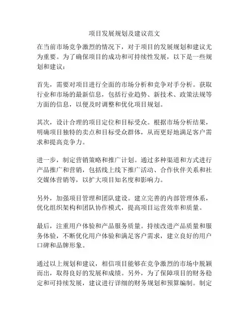 项目发展规划及建议范文