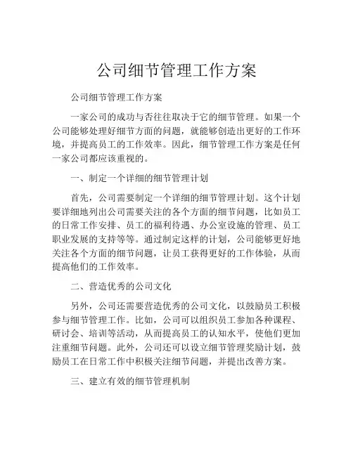 公司细节管理工作方案