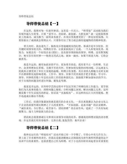 导师带徒总结