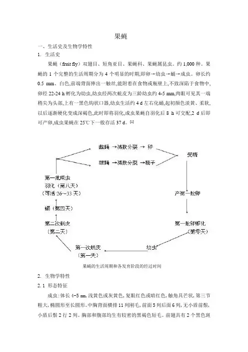 果蝇简介