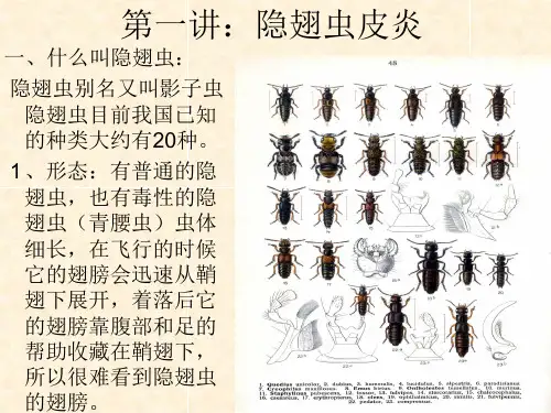 常见症状疾病_new