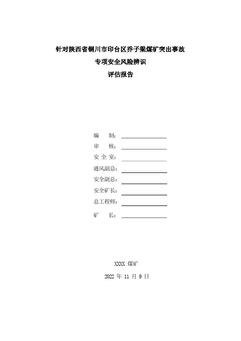 煤与瓦斯突出事故专项安全风险辨识评估报告