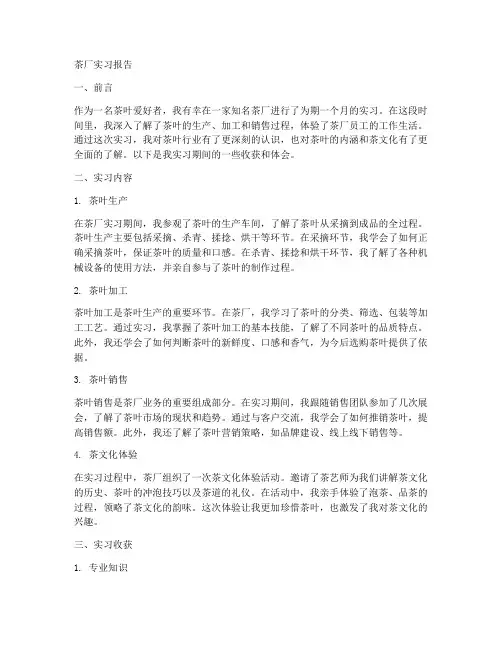 茶厂实习报告