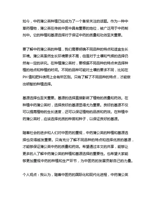 中药蒲公英 种植 品种 基源