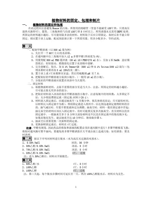 植物(拟南芥水稻)原位杂交详细protocol试验方法
