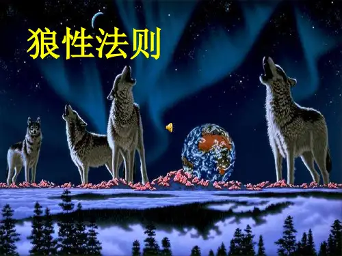 狼性法则