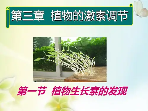 植物生长素的发现