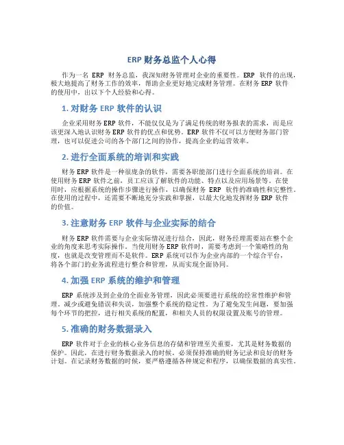 erp财务总监个人心得