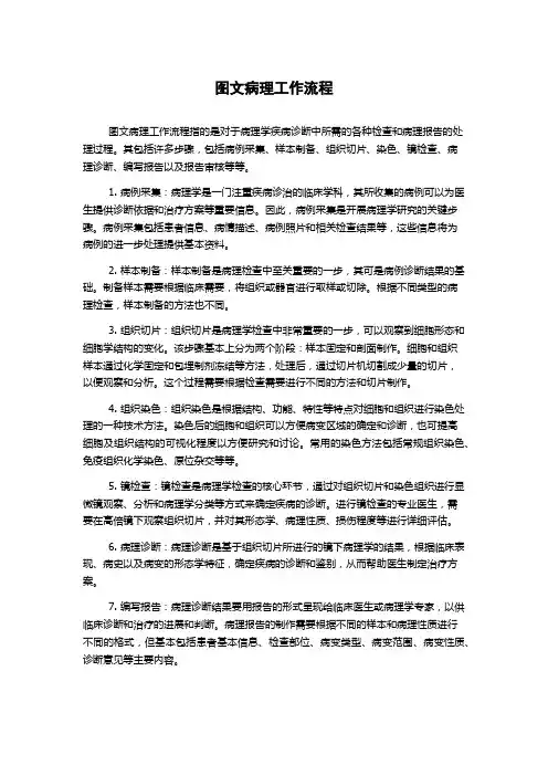 图文病理工作流程