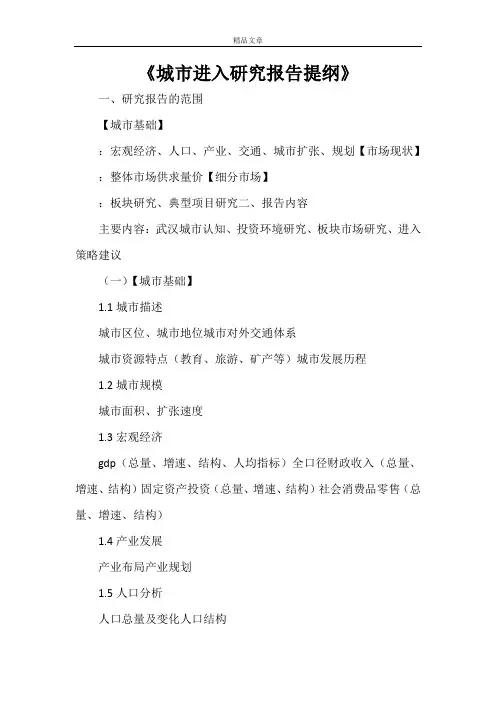 《城市进入研究报告提纲》