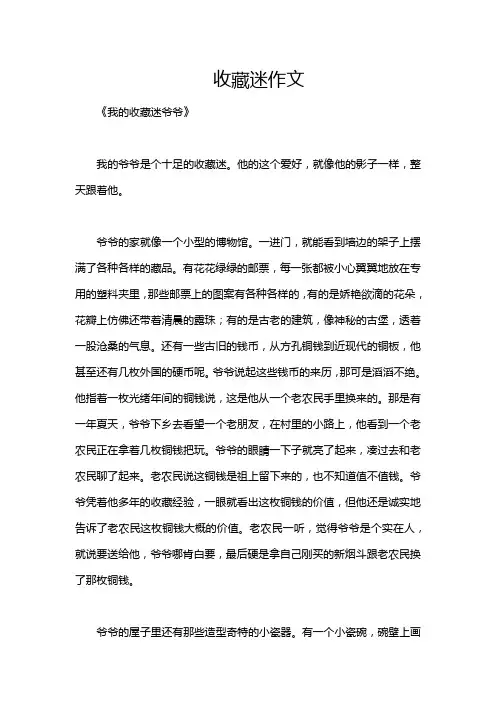 收藏迷作文