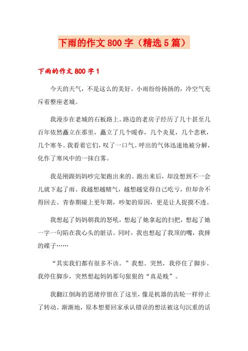 下雨的作文800字(精选5篇)