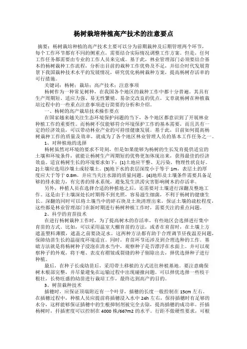 杨树栽培种植高产技术的注意要点