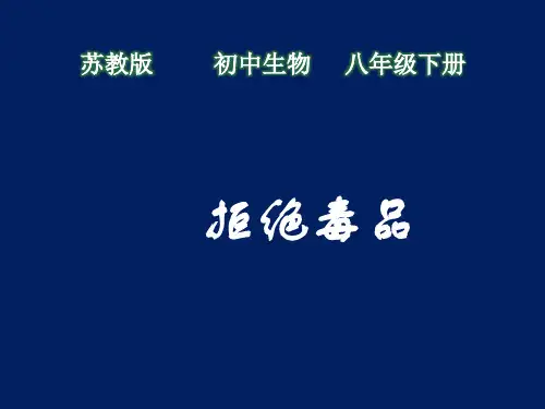 苏教版生物八下26.2《拒绝毒品》 课件(共51张PPT)