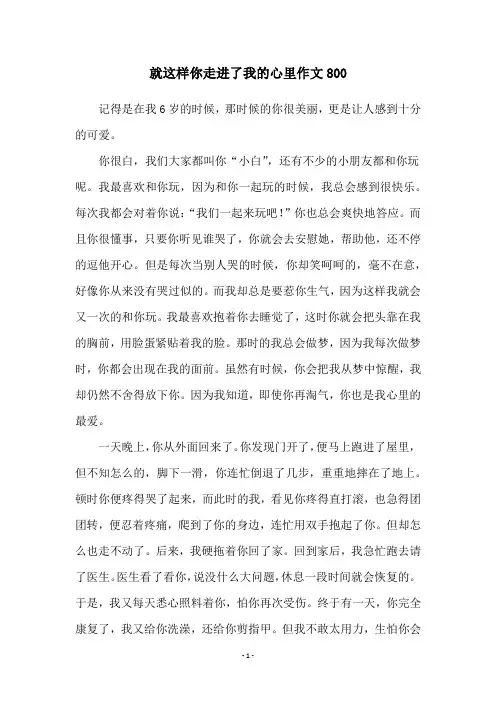 就这样你走进了我的心里作文800