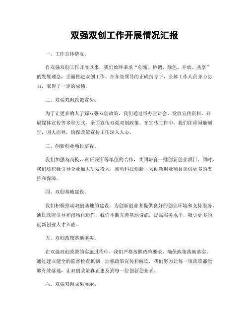 双强双创工作开展情况汇报