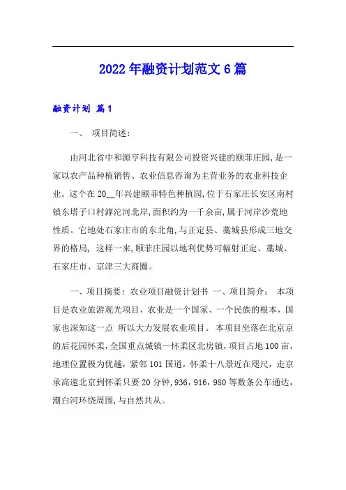 2022年融资计划范文6篇