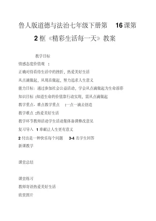鲁人版道德与法治七年级下册第16课第2框《精彩生活每一天》教案