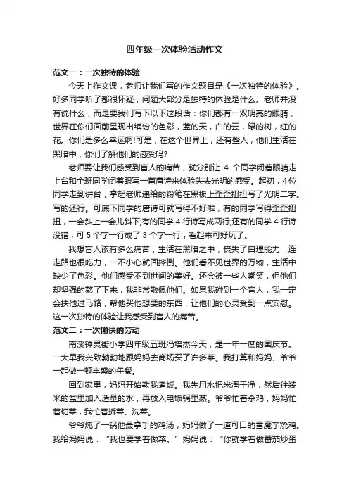 四年级一次体验活动作文