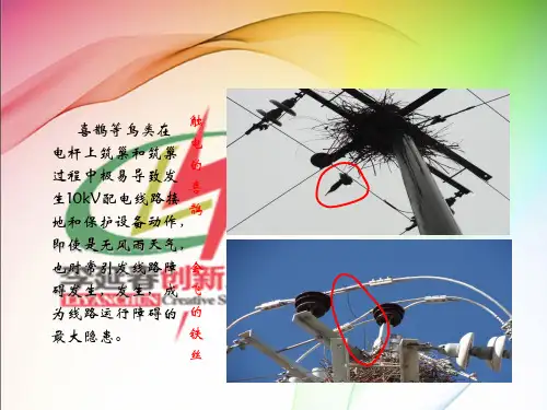 创新成果 QC 自制防鸟装害装置与配电线路鸟害治理