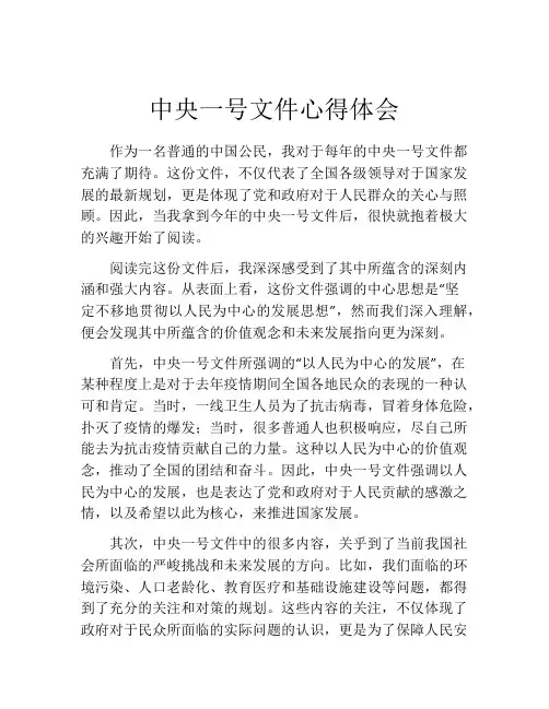 中央一号文件心得体会