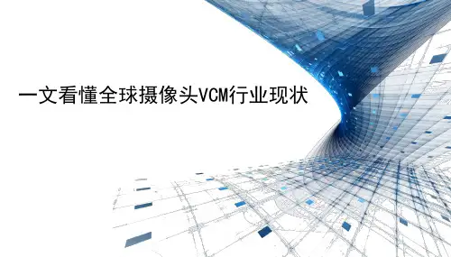 VCM行业现状