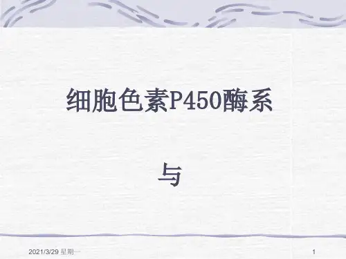 CYP450酶与药物相互作用