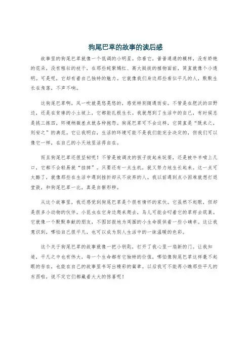 狗尾巴草的故事的读后感