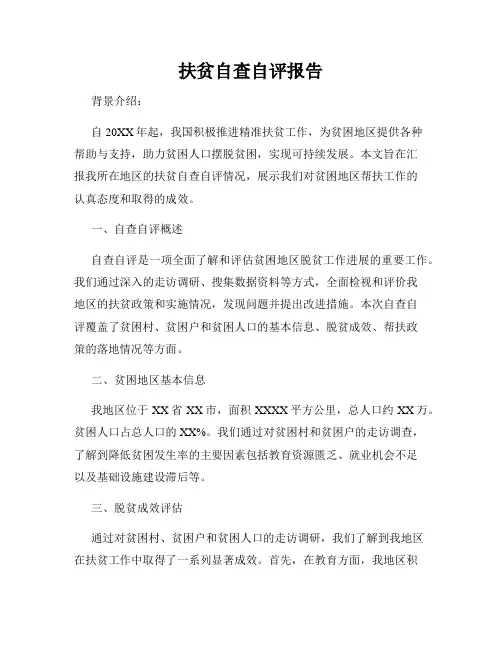 扶贫自查自评报告