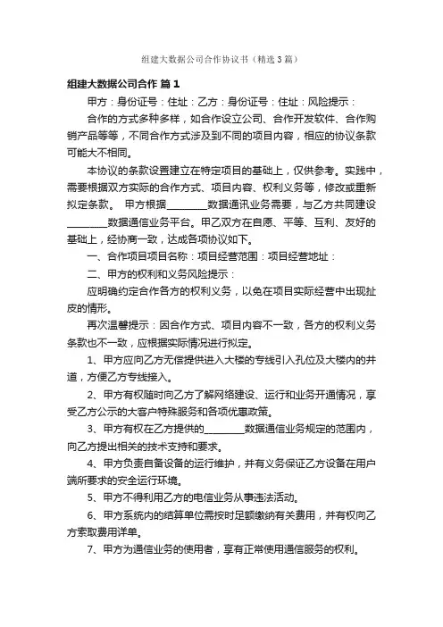 组建大数据公司合作协议书（精选3篇）