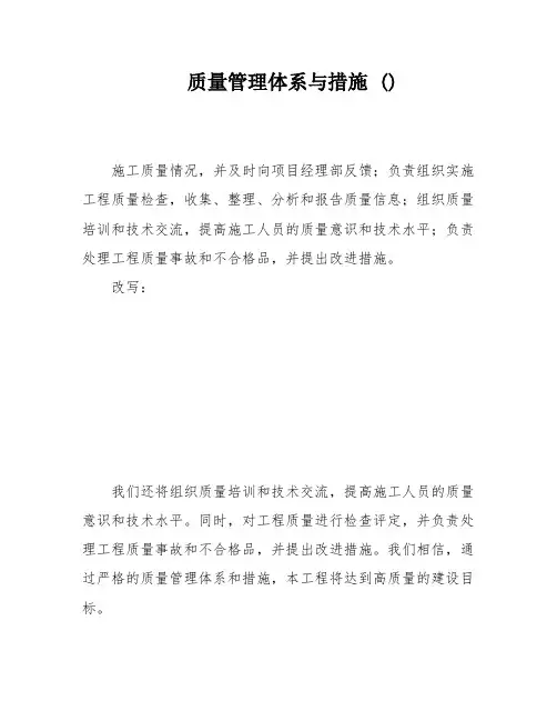 质量管理体系与措施 ()