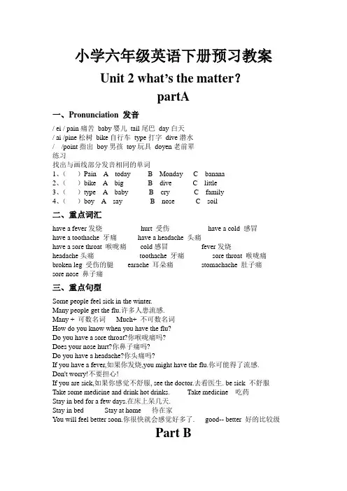 人教版小学英语六年级下册第二单元教案