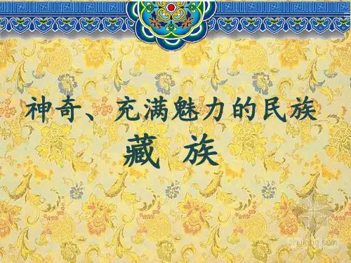 藏族简介