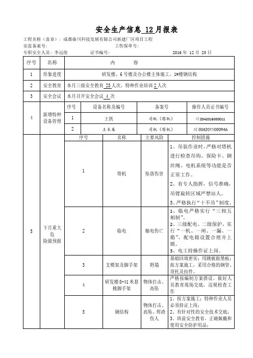 安全生产信息 12月报表