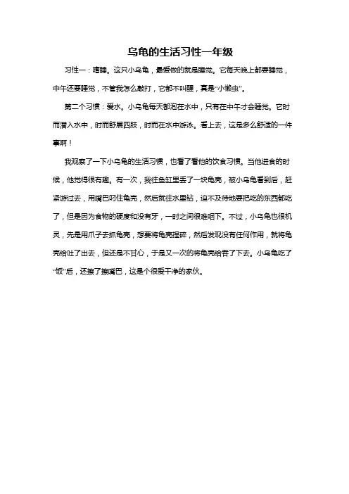 乌龟的生活习性一年级