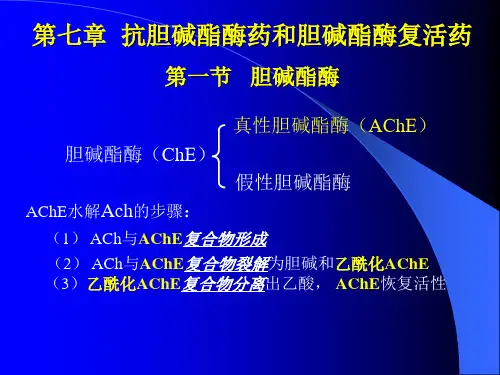 第7章  抗胆碱酯酶药和胆碱脂酶复活药